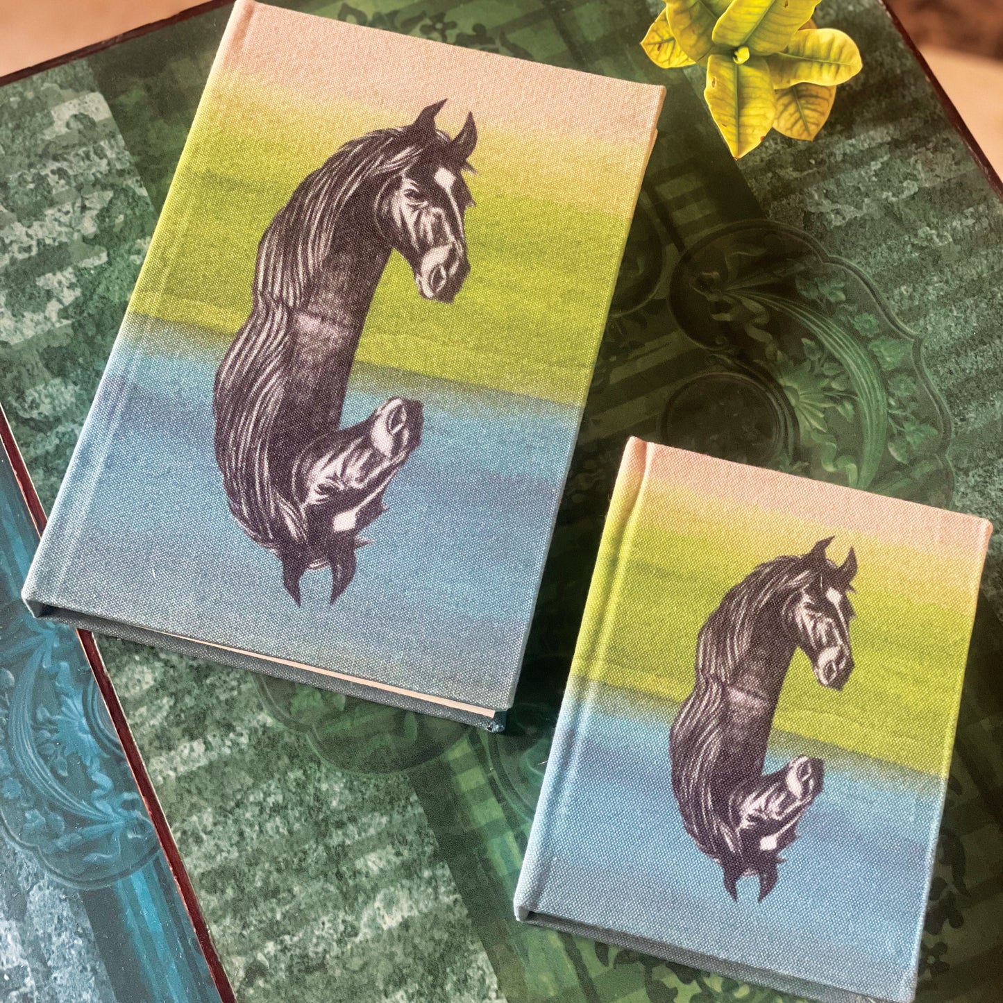 Horse Reflection Diary