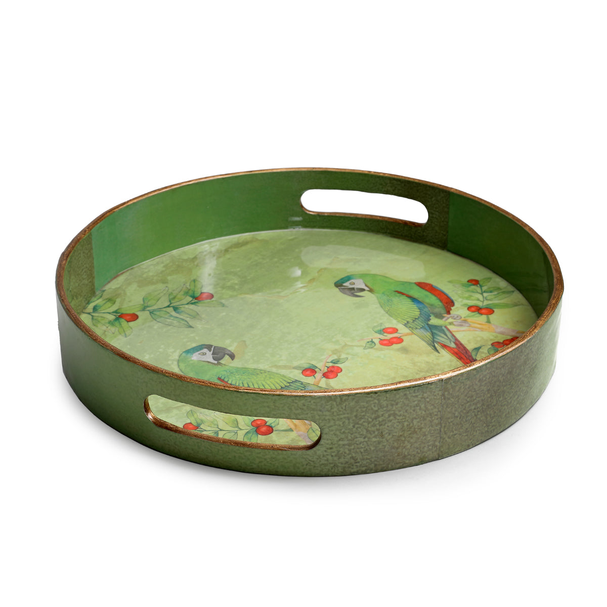 Savannah Parrot Round Glossy Wooden & Enamel Tray