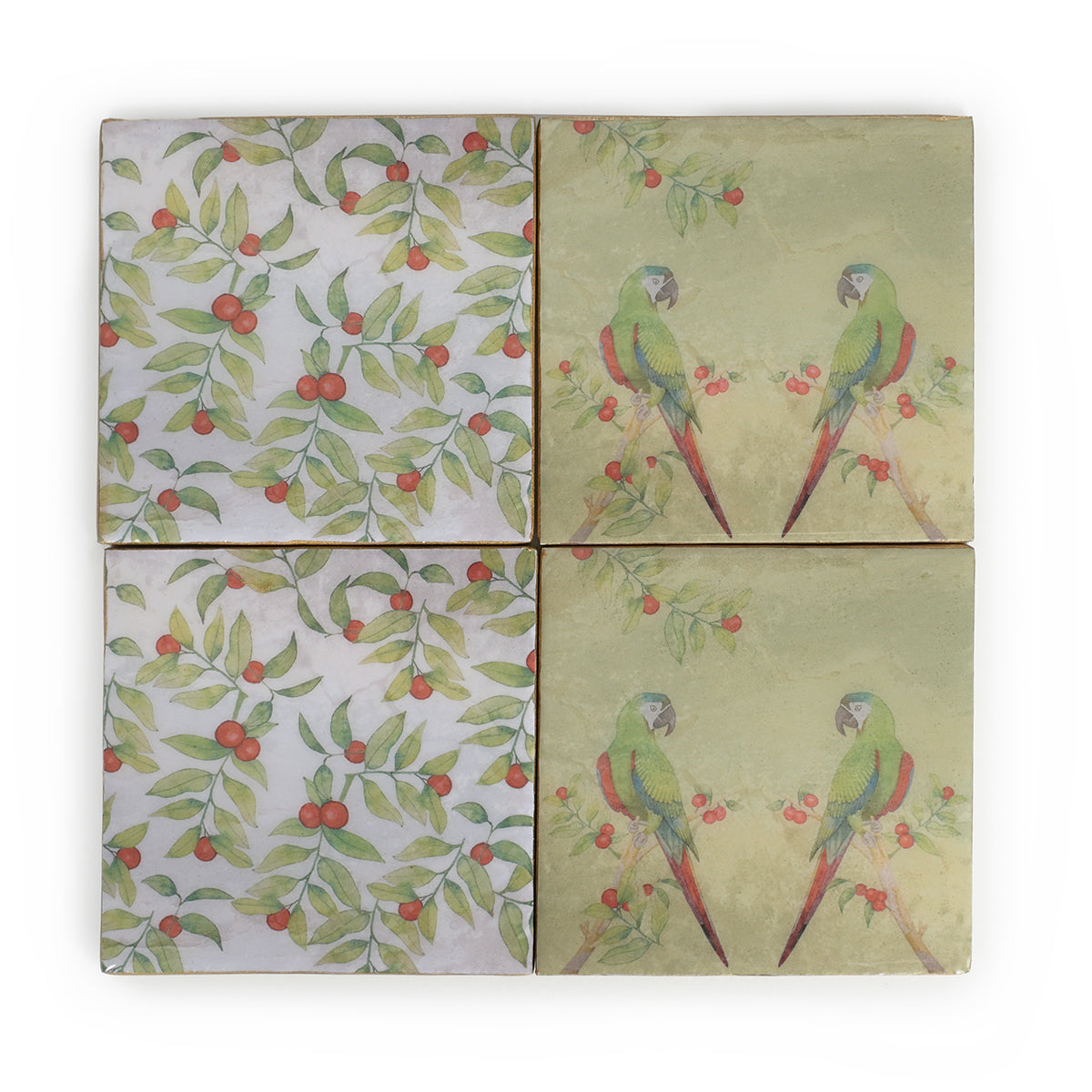 Parrot Berry Square Coasters with colorful shades