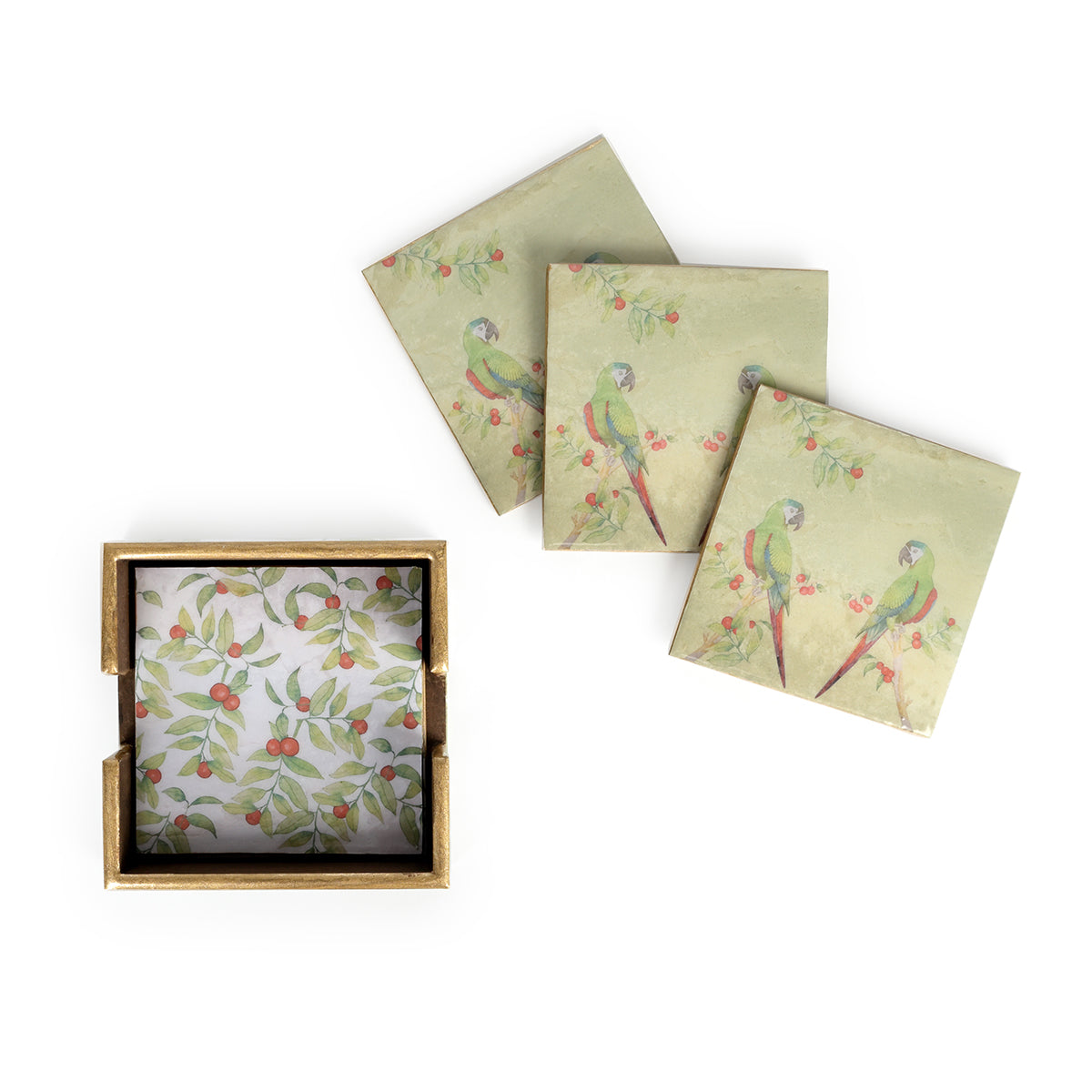 Parrot Berry Square Coasters (Set of 4)