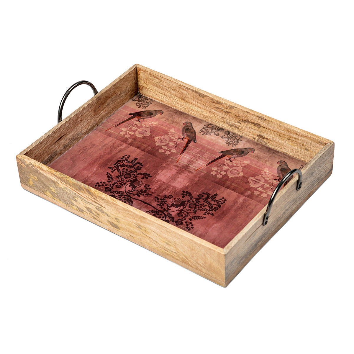 Buy Parrot Crate Set of Three Trays