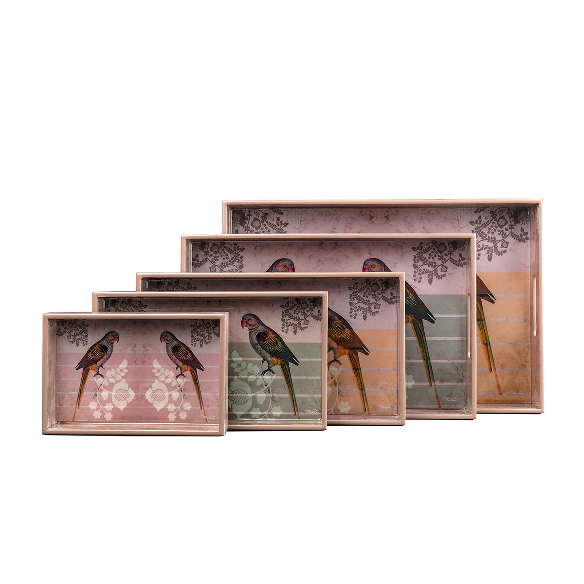 Parrot Trays