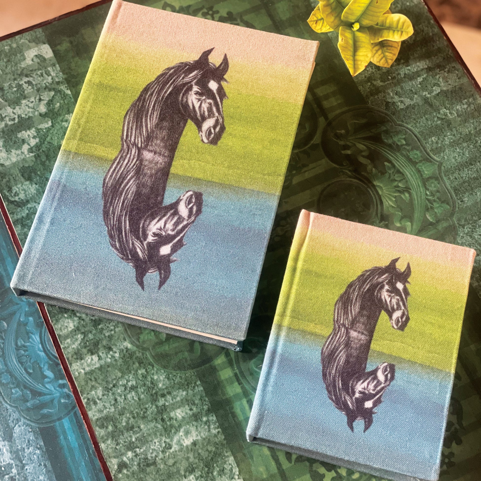 Horse Reflection Diary