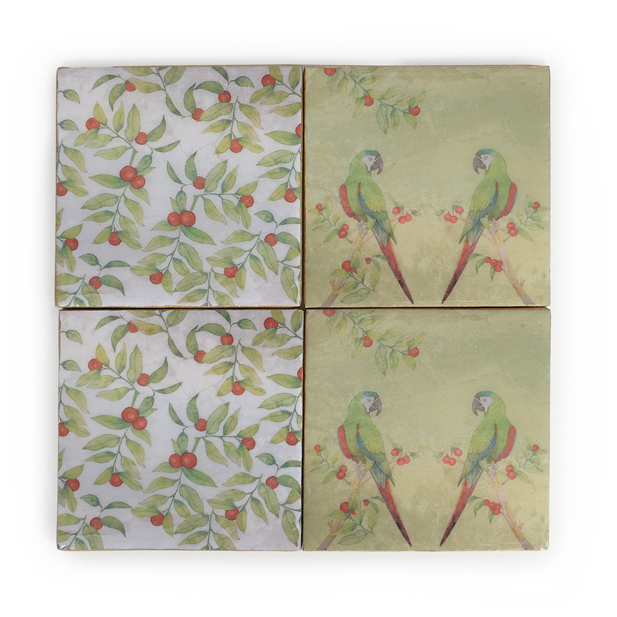 Parrot Berry Square Coasters (Set of 4)